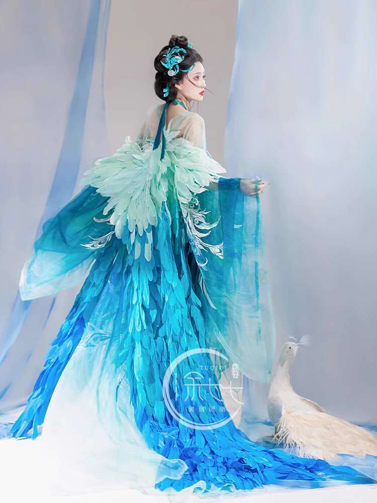 Embroidery Skirt - New Peacock Hanfu Womens fashion Heavy