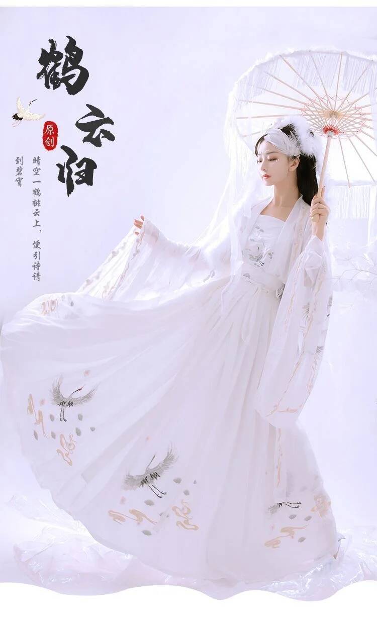Chinese Ancient Hanfu Women's  - đánh giá và giá Embroidery Skirt